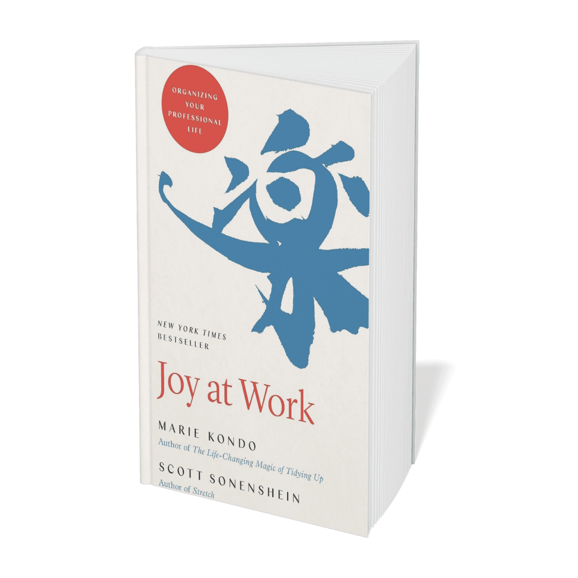 Joy at Work